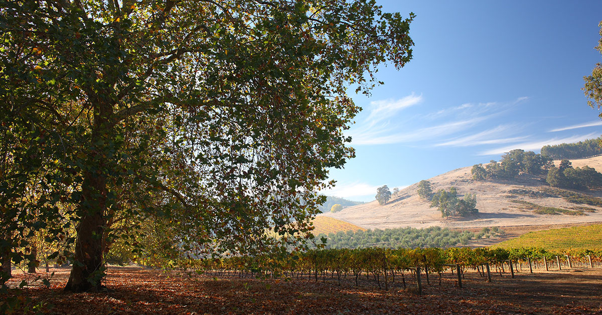 Empowering Regional Tourism: A Must-Attend Conference for Western Australia’s Agritourism Sector