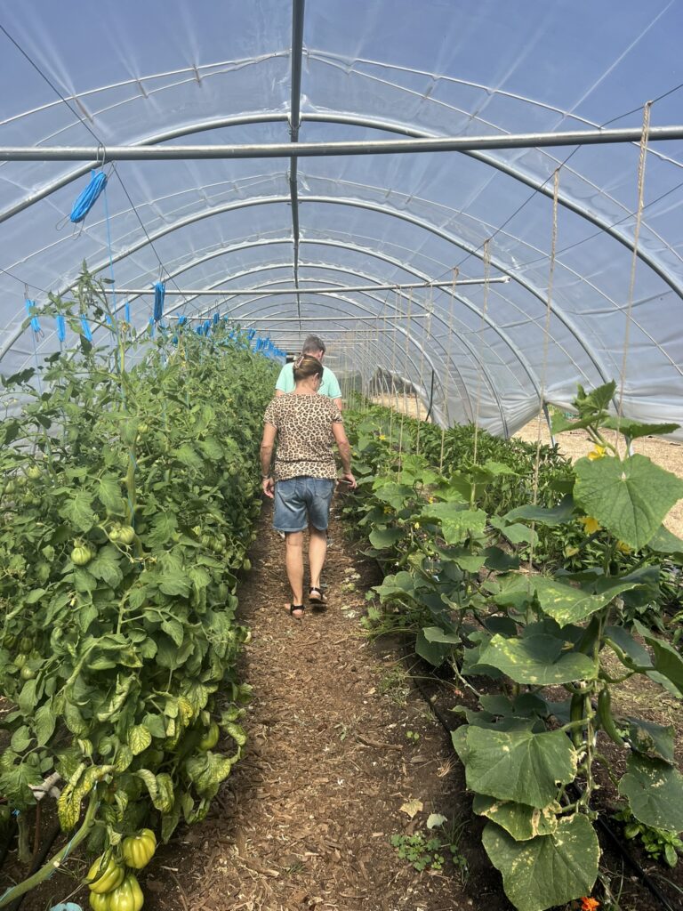 Tour market gardens with Forage Safaris