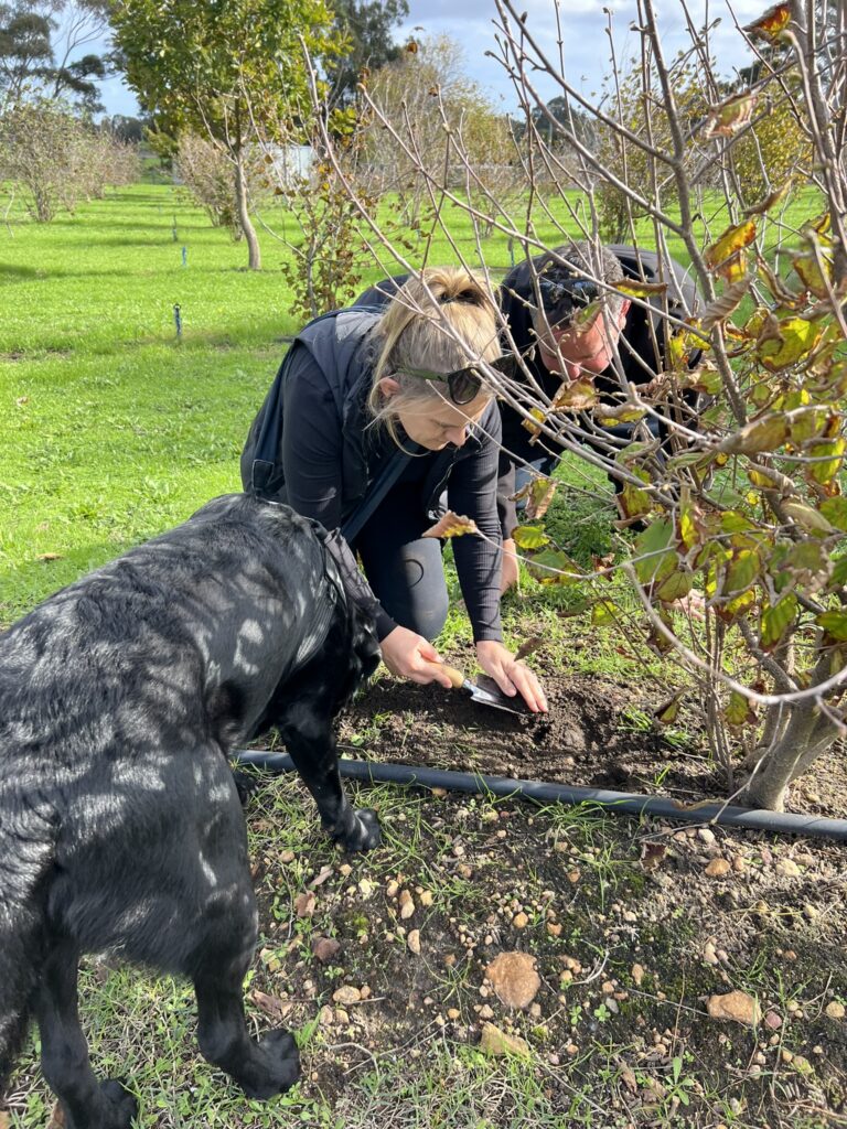 Digging for Truffles with Forage Safaris