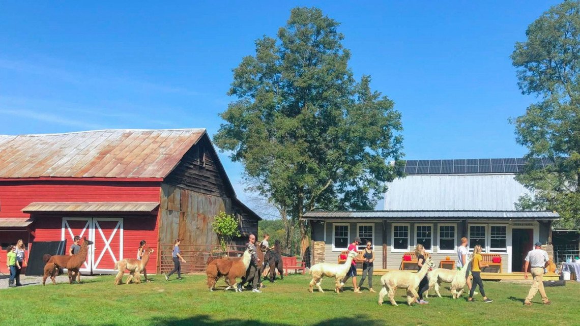 New York Agritourism Sector Triples in Size as Cornell Extension Builds State-Wide Operator Support Network
