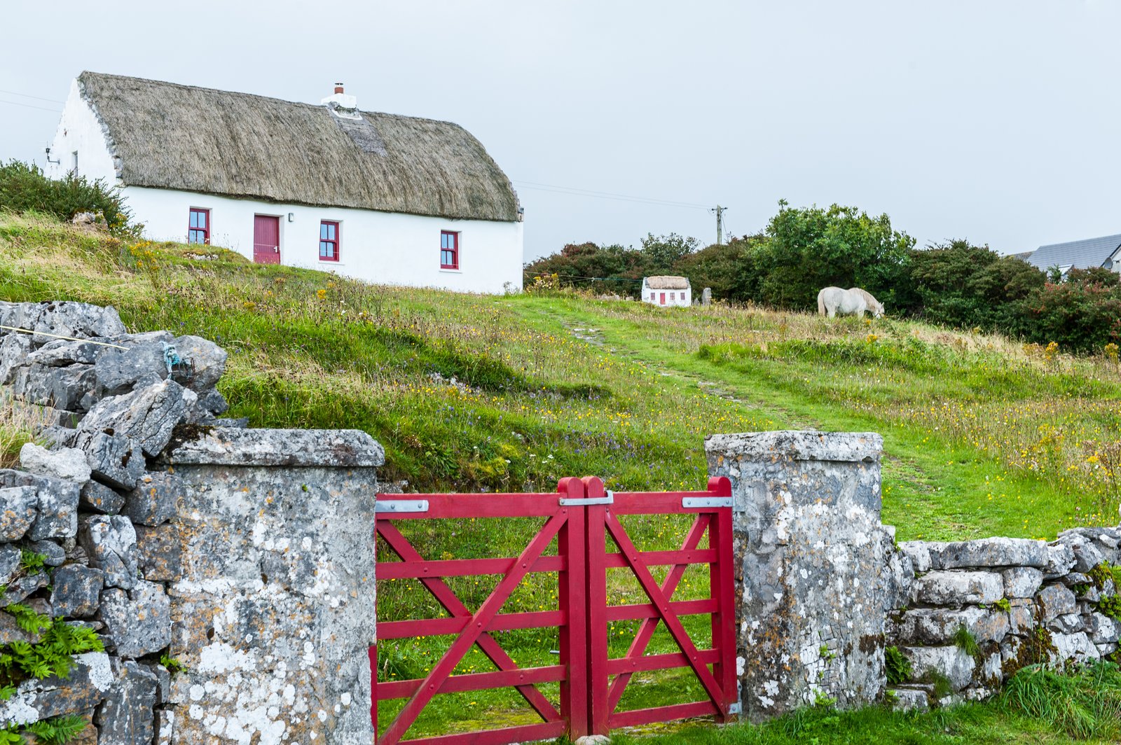 Planning Rules, Not Ideas, Block Farm Diversification
