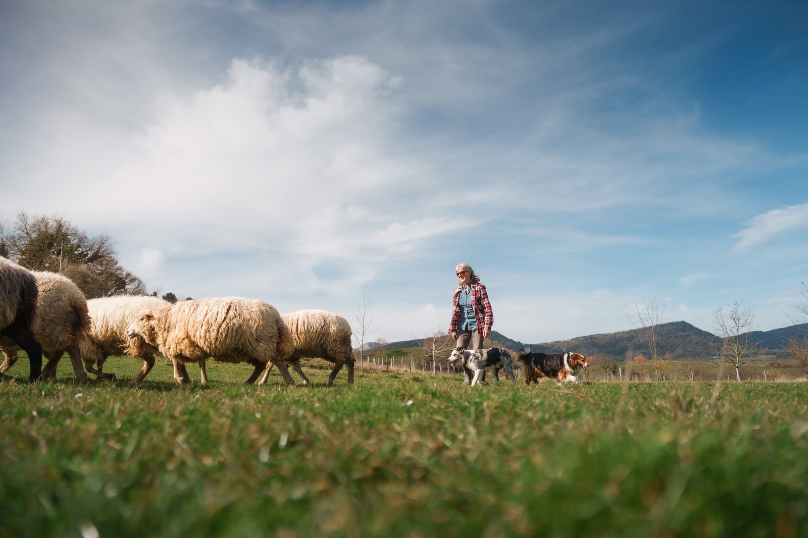 Rural Women’s Award Bursary of $15,000 Closes 4 November